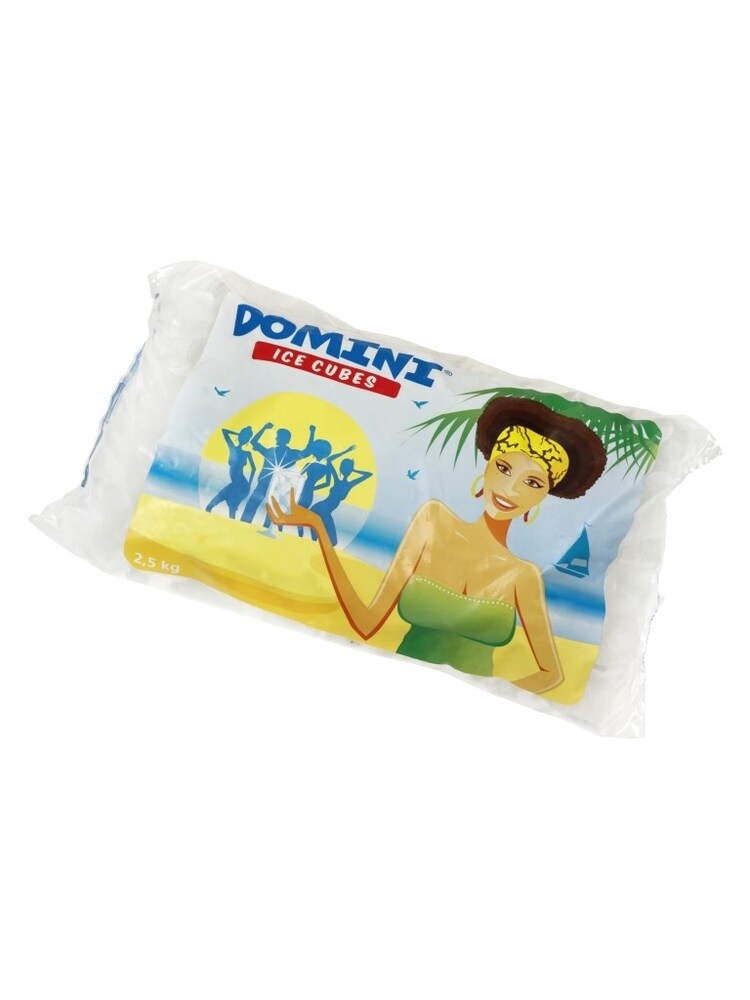 IJsblokjes doos 5 zakken x 2,5 kg