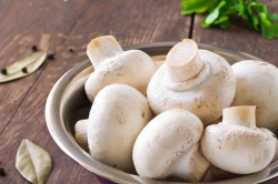 100374-sfeerimpressie_champignons